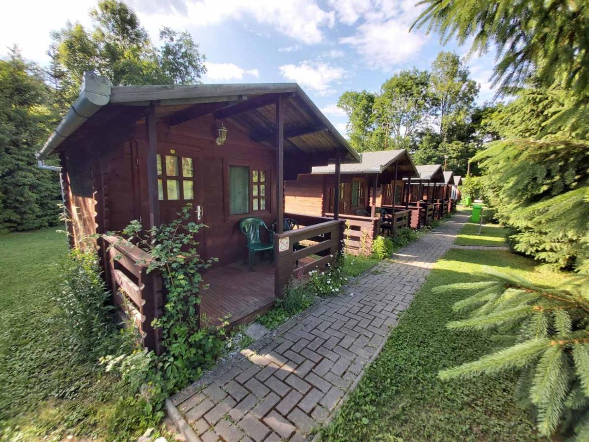 Bungalow Camping Edelweiss - Floare De Colt - Gyopar Rimetea Ngoại thất bức ảnh