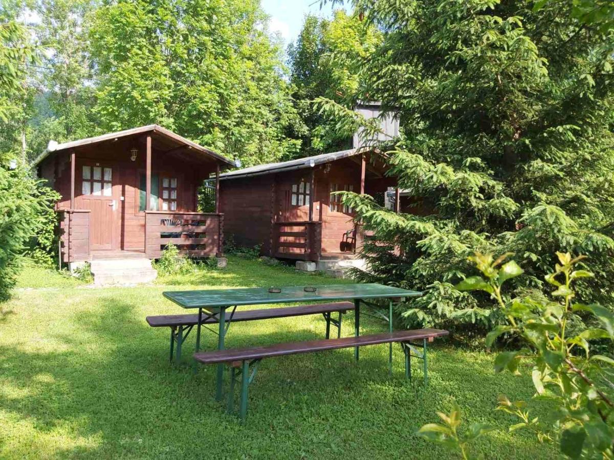 Bungalow Camping Edelweiss - Floare De Colt - Gyopar Rimetea Ngoại thất bức ảnh