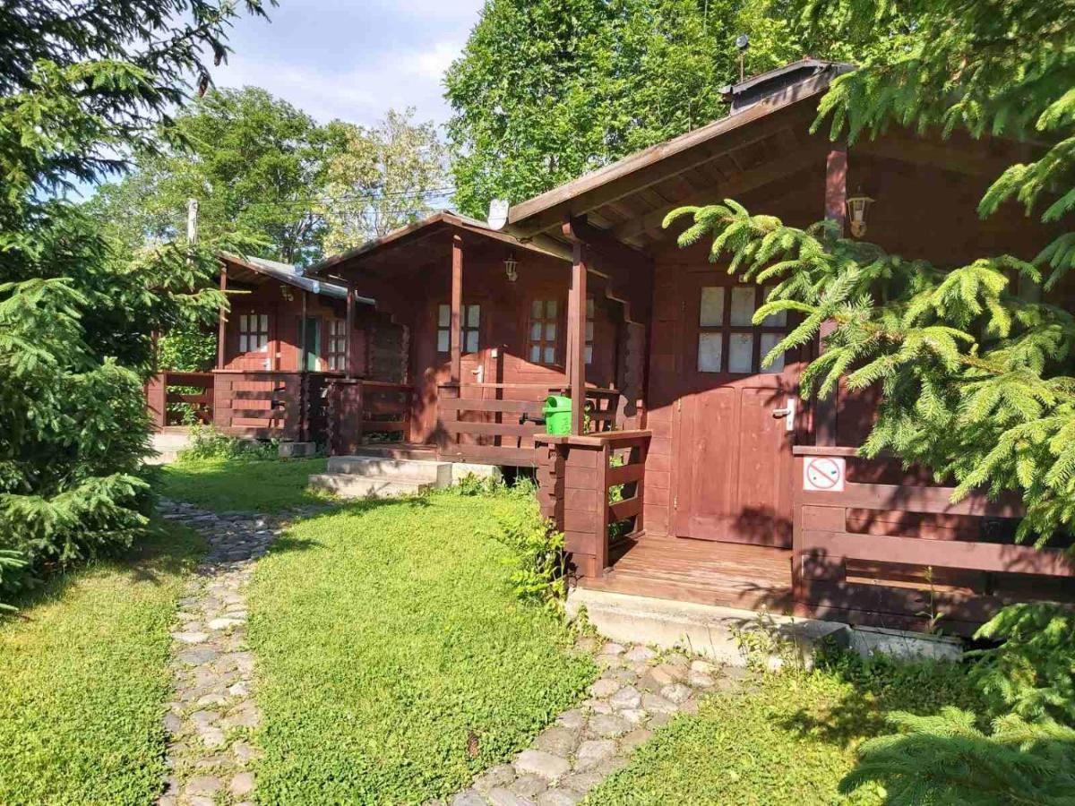 Bungalow Camping Edelweiss - Floare De Colt - Gyopar Rimetea Ngoại thất bức ảnh